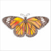 CCRT-072 Monarch Butterfly | 0.75in. Acrylic Contour | Case Bundle of 25