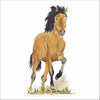 CCRT-077 Mustang | 0.75in. Acrylic Contour | Case Bundle of 25