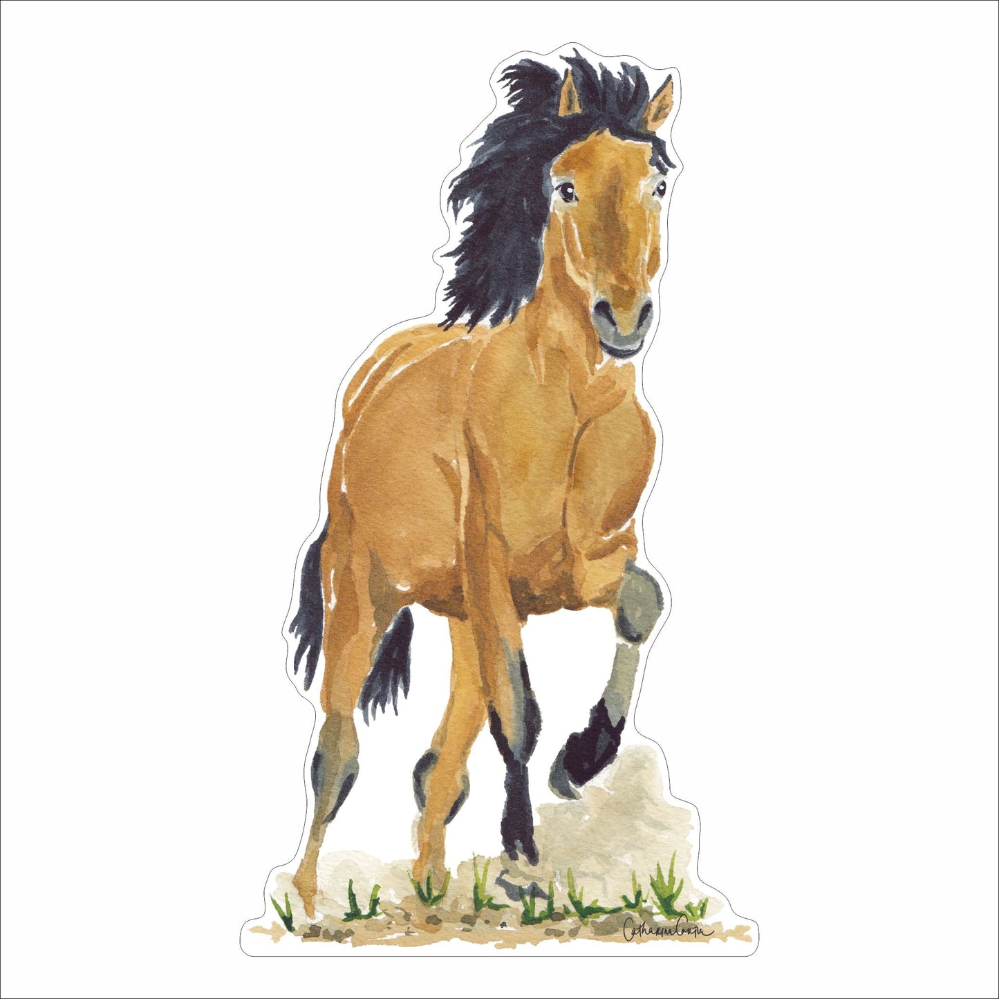 CCRT-077 Mustang | 0.75in. Acrylic Contour | Case Bundle of 25