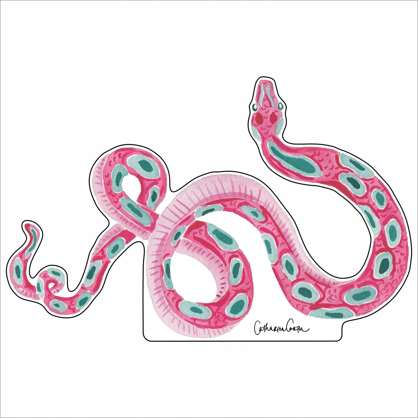 CCRT-092 Pink Snake | 0.75in. Acrylic Contour | Case Bundle of 25