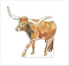 CCRT-096 Longhorn | 0.75Acrylic Contour | Case of 25