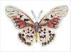 CCRT-097 Autumn Butterfly | 0.75Acrylic Contour |