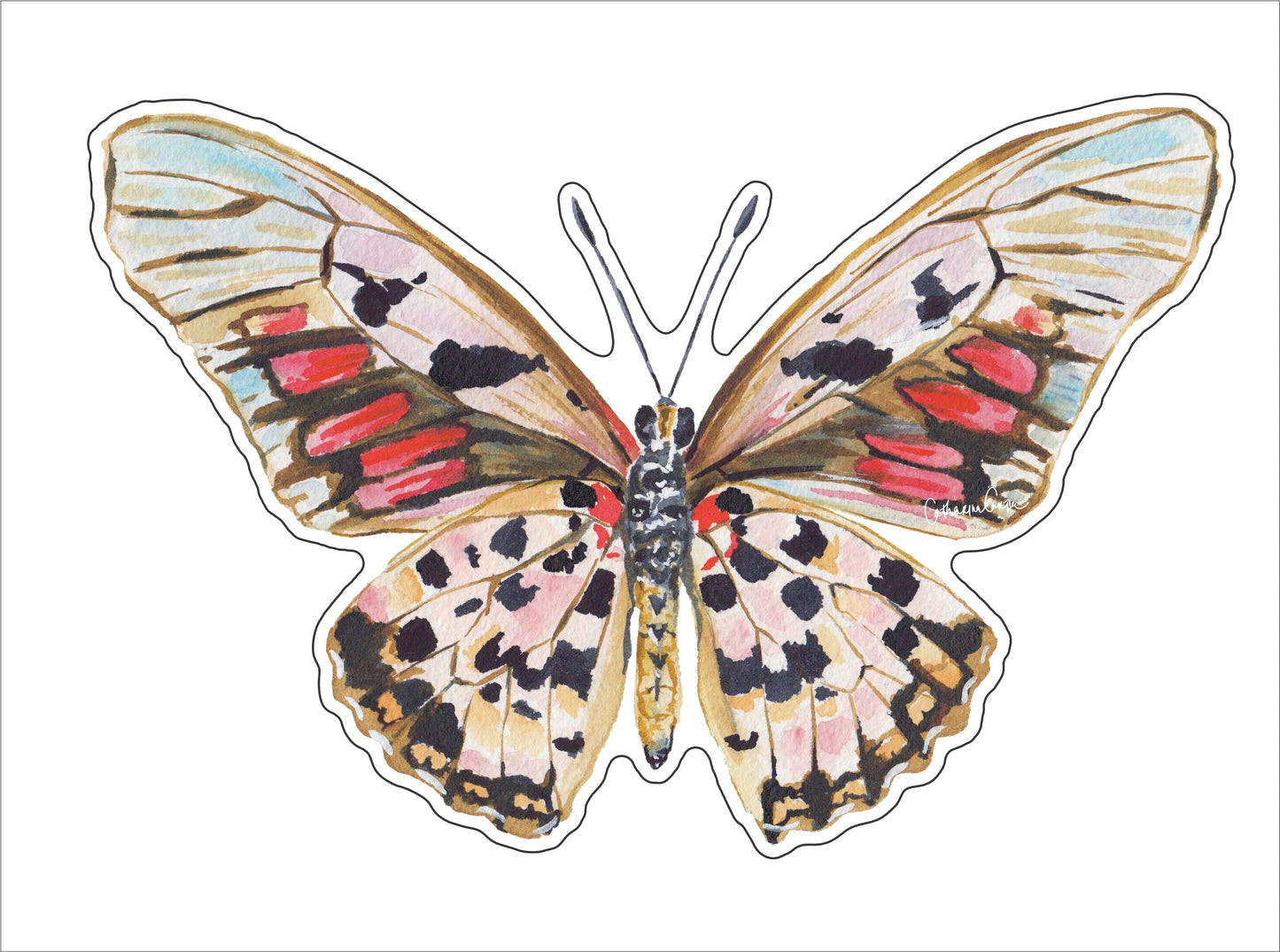 CCRT-097 Autumn Butterfly | 0.75Acrylic Contour |