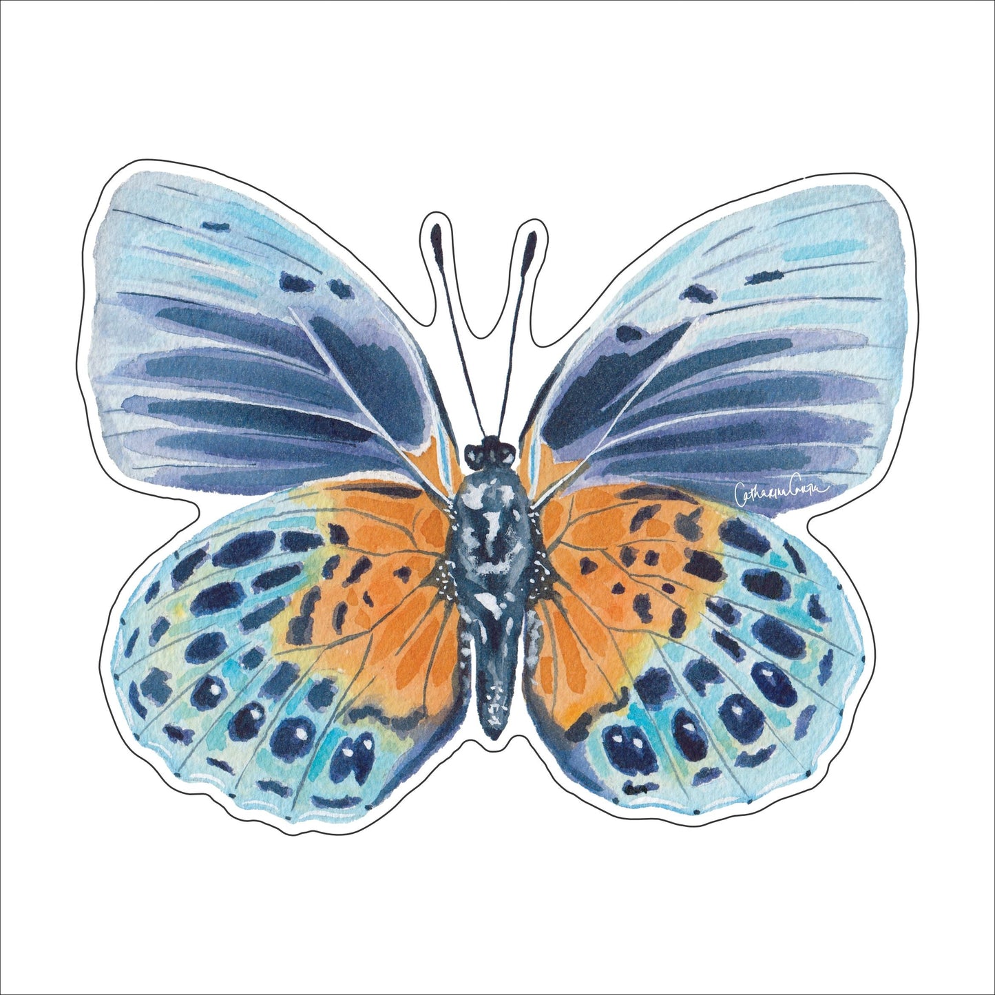 CCRT-099 Blue Autumn Butterfly | 0.75Acrylic Contour |