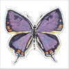 CCRT-101 Colorado Hairstreak | 0.75Acrylic Contour |