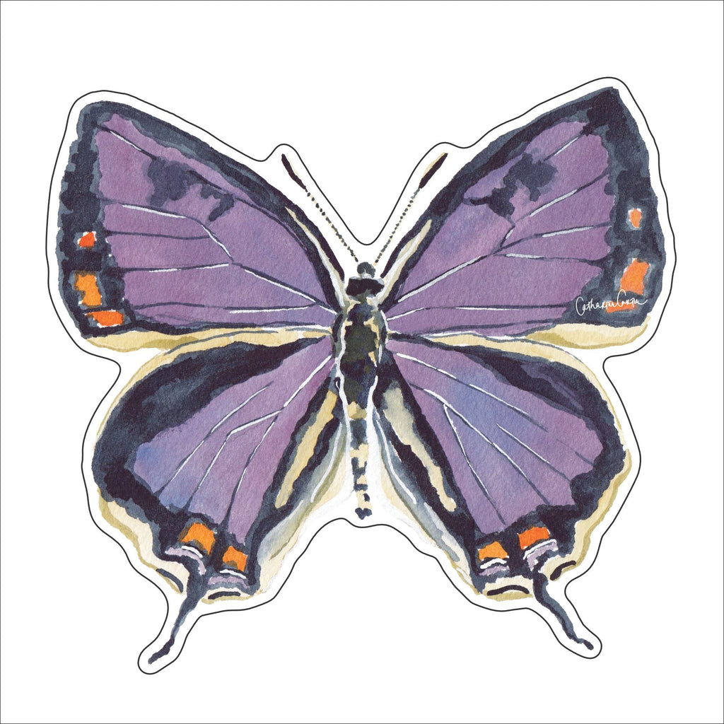 CCRT-101 Colorado Hairstreak | 0.75Acrylic Contour |
