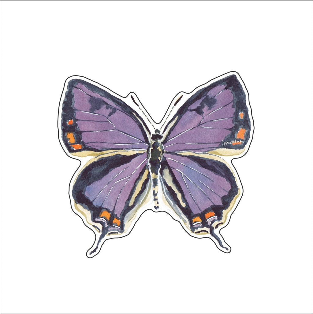 CCRT-102 Colorado Hairstreak Mini | 0.50Acrylic Mini | Case of 25