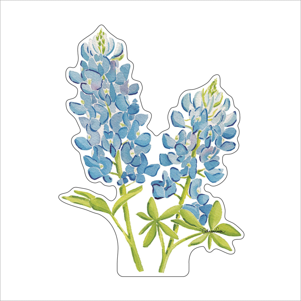 CCRT-103 Blue Bonnets | 0.75Acrylic Contour |