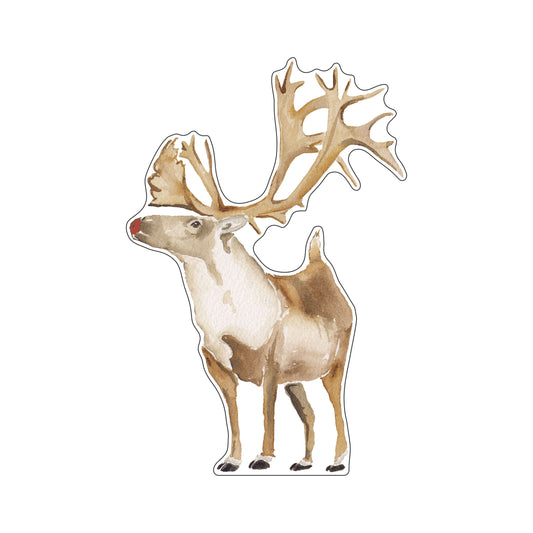 CCRT-109 Rudolph | 0.75Acrylic Contour