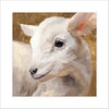 Lamb | 0.75in. Acrylic Cutout 5x7 | Single