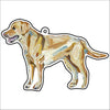 CMS-1166-C10 Lab Yellow Bag Charm | 0.125Acrylic Bag Charm | Case of 10