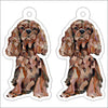 CMS-1229-C10 Cavalier King Charles Ruby Sitting Earring Pair | 0.125Acrylic Earring | Case of 10