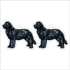 CMS-1291-C10 Newfoundland Black Earring Pair | 0.125Acrylic Earring | Case of 10