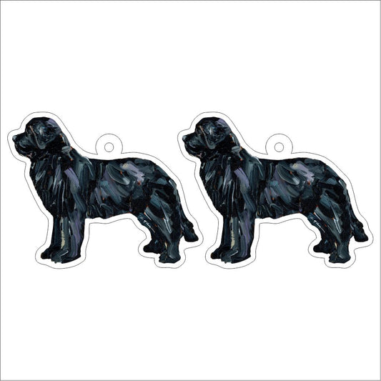 CMS-1291-C10 Newfoundland Black Earring Pair | 0.125Acrylic Earring | Case of 10