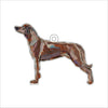 Rhodesian Ridgeback | 0.25in. Acrylic Ornament | Mix and Match (any 10+)