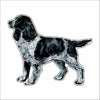 CMS-1453 English Springer Black Mini | 0.50Acrylic Mini | Case of 25