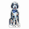 CMS-1630-C10 Bernedoodle Blue Bandana Magnet | 0.125Acrylic Magnet | Set of 10