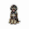 CMS-1634-C10 Bernedoodle Chocolate Magnet | 0.125Acrylic Magnet | Set of 10