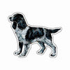 CMS-1635-C10 English Springer Black Magnet | 0.125Acrylic Magnet | Set of 10