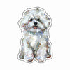 CMS-1636-C10 Bichon Frise Magnet | 0.125Acrylic Magnet | Set of 10