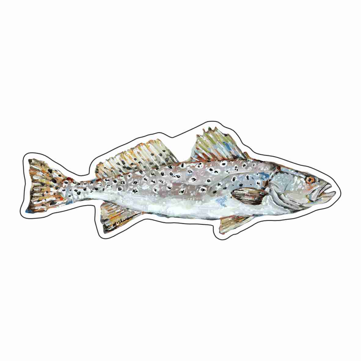 CMS-1642-C10 Speckled Sea Trout Magnet | 0.125Acrylic Magnet | Set of 10