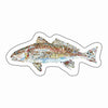 CMS-1658-C10 Redfish Light Blue Sticker | Removable Sticker | Set of 10