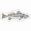 CMS-1659-C10 Speckled Sea Trout Sticker | Removable Sticker | Set of 10