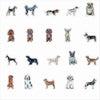 CMS-1691 Sticker Variety Pack 3 | Removable Sticker