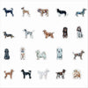 CMS-1692 Sticker Variety Pack 4 | Removable Sticker