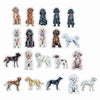 CMS-1693 Sticker Variety Pack 5 | Removable Sticker