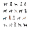 CMS-1694 Sticker Variety Pack 6 | Removable Sticker