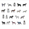 CMS-1696 Magnet Variety Pack 1 | 0.125Acrylic Magnet