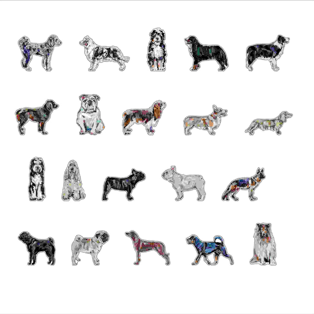 CMS-1696 Magnet Variety Pack 1 | 0.125Acrylic Magnet