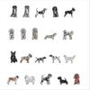 CMS-1697 Magnet Variety Pack 2 | 0.125Acrylic Magnet