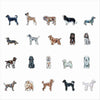 CMS-1699 Magnet Variety Pack 4 | 0.125Acrylic Magnet