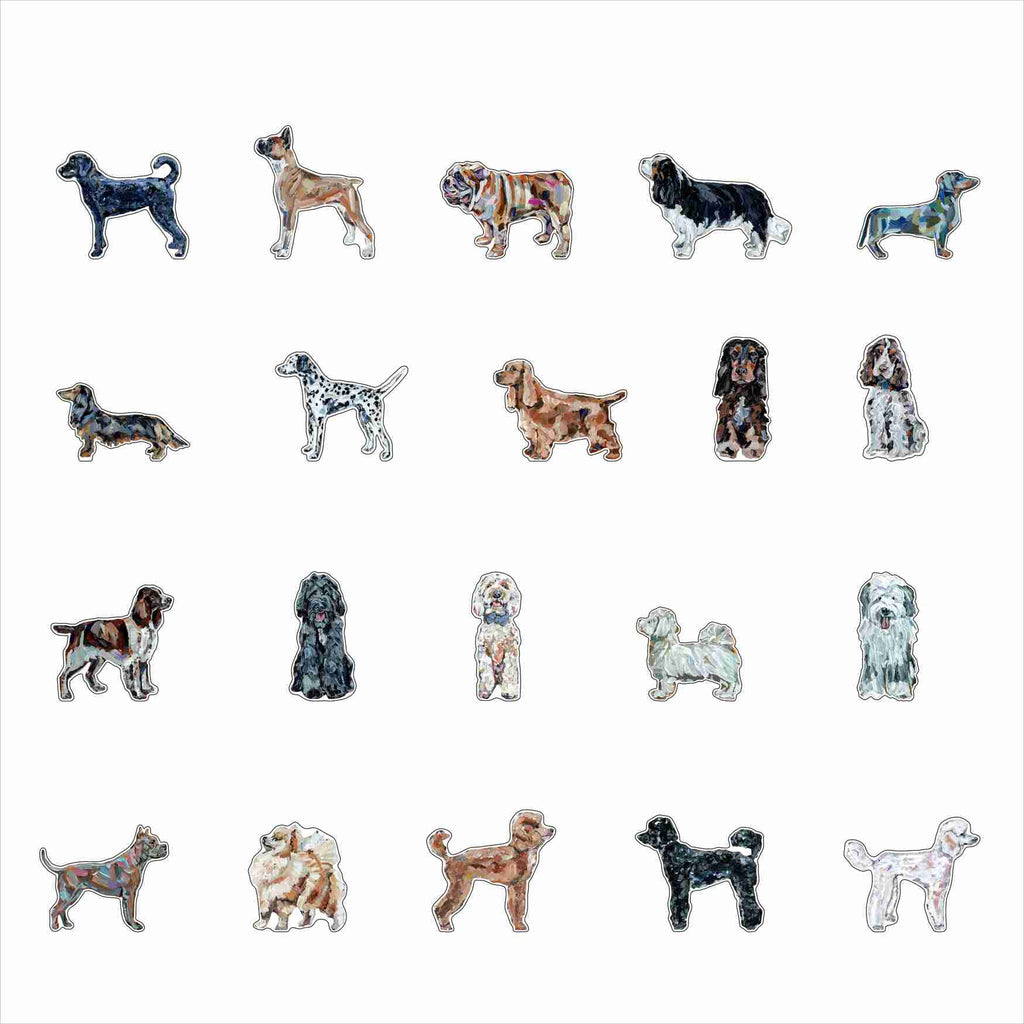 CMS-1699 Magnet Variety Pack 4 | 0.125Acrylic Magnet