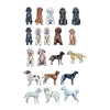 CMS-1700 Magnet Variety Pack 5 | 0.125Acrylic Magnet
