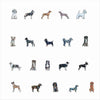 CMS-1701 Magnet Variety Pack 6 | 0.125Acrylic Magnet