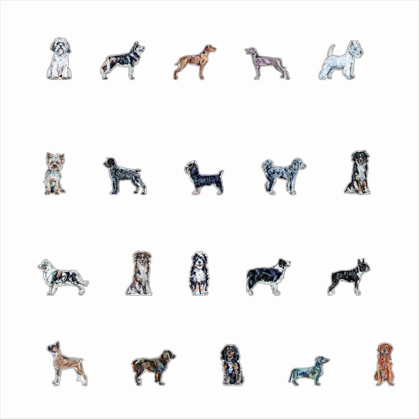 CMS-1701 Magnet Variety Pack 6 | 0.125Acrylic Magnet