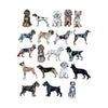CMS-1702 Magnet Variety Pack 7 | 0.125Acrylic Magnet