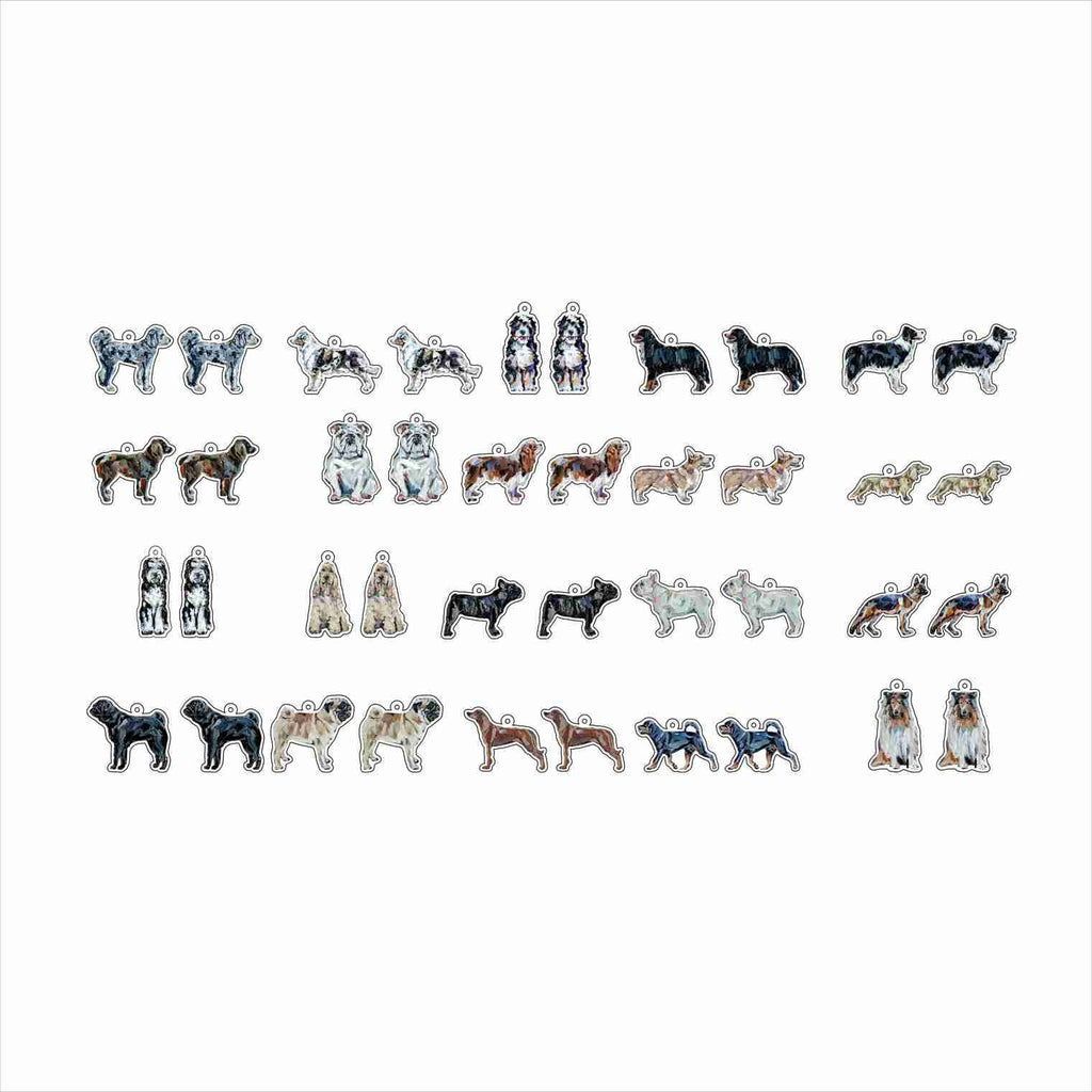 CMS-1710 Earring Variety Pack 1 | 0.125Acrylic Earrings