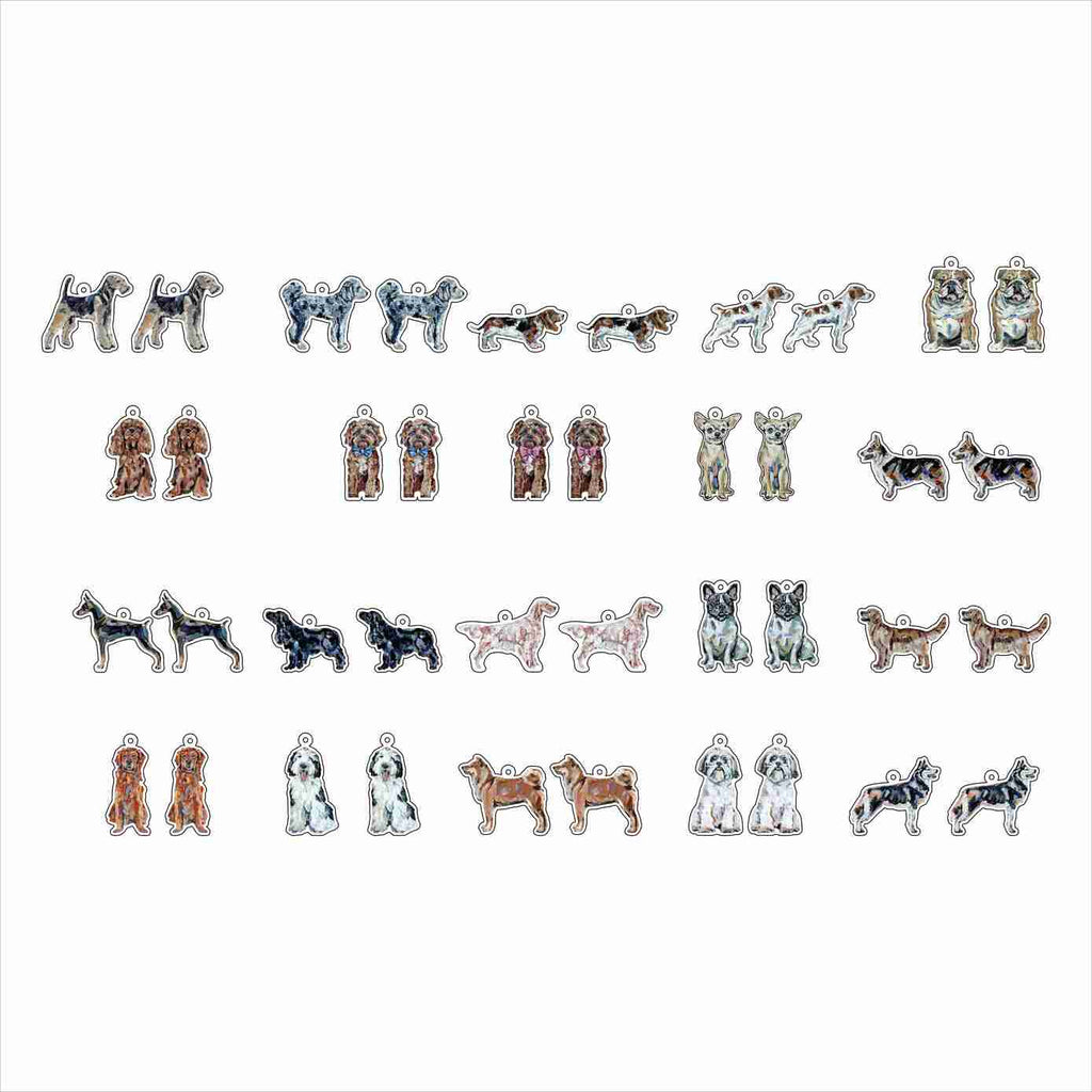 CMS-1712 Earring Variety Pack 3 | 0.125Acrylic Earrings