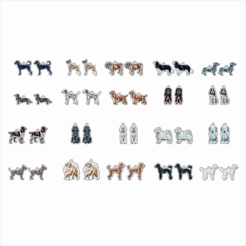 CMS-1713 Earring Variety Pack 4 | 0.125Acrylic Earrings
