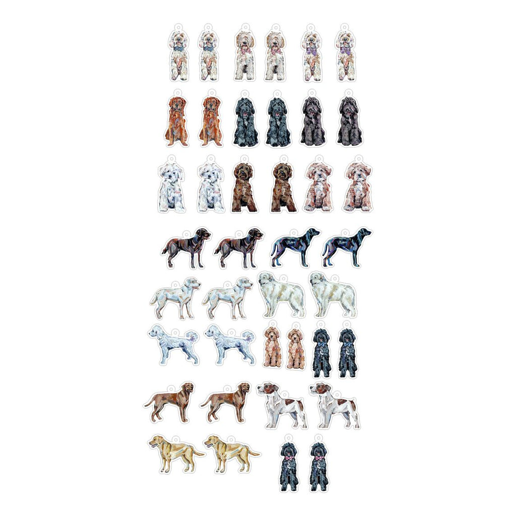 CMS-1714 Earring Variety Pack 5 | 0.125Acrylic Earrings