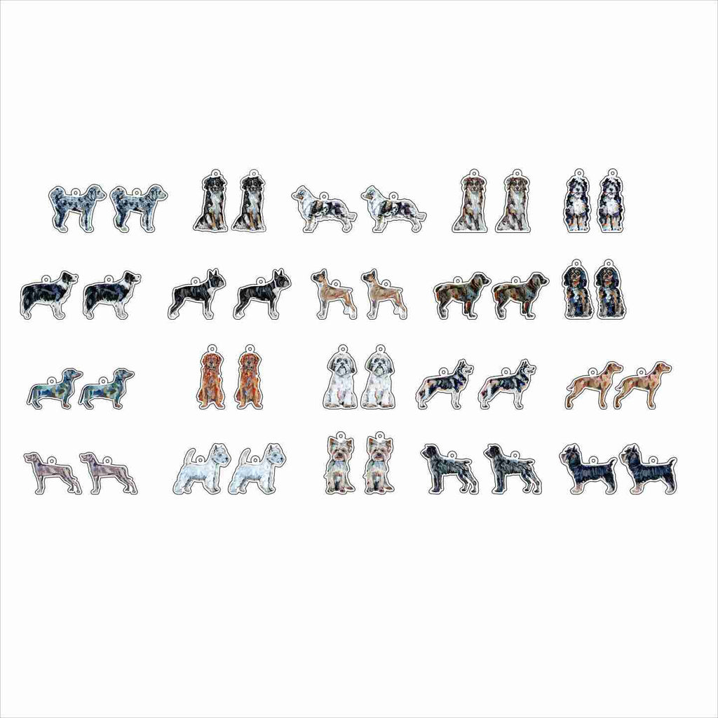 CMS-1715 Earring Variety Pack 6 | 0.125Acrylic Earrings