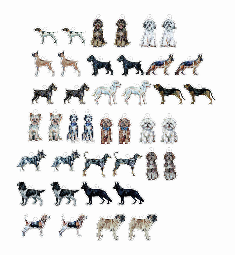 CMS-1716 Earring Variety Pack 7 | 0.125Acrylic Earrings