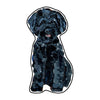 CMS-1722 Maltipoo Black Magnet | 0.125Acrylic Magnet | Set of 10