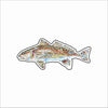 CMS-1829 Redfish Light Blue Button | 0.125Acrylic Button | Set of 10