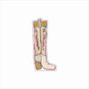 CMS-1835 Cowgirl Up | 0.75Acrylic Contour