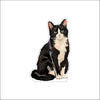 CMS-1944 Tuxedo Black & White Cat | 0.75Acrylic Contour | Case of 25